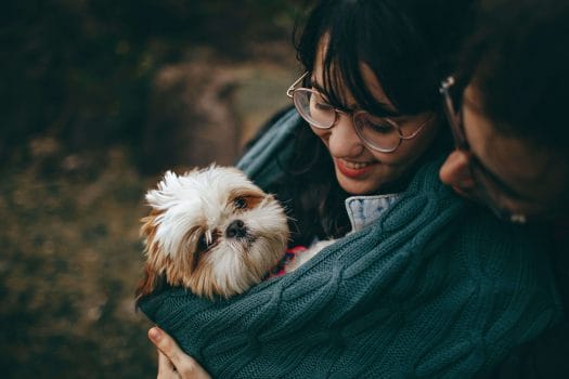 Pet insurance Australia couple holding small ugly dog in jacket