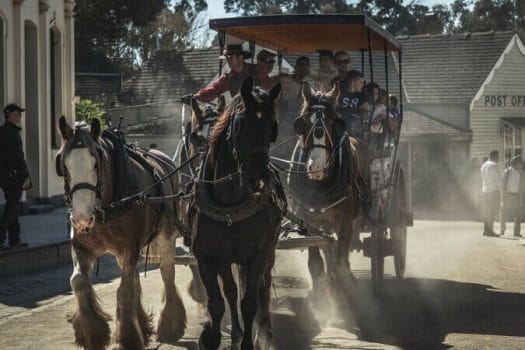 A horse and cart ride paid for by Cash Loans Ballarat 